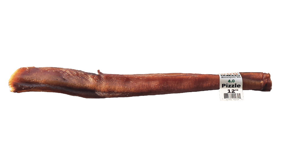 great-dog-biggest-bull-pizzle-twelve-inch-bully-stick