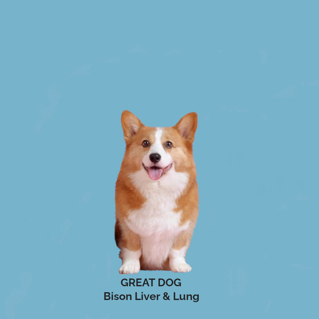 corgi-dog-image-with-text-bison-liver-lung-dog-treat-collection