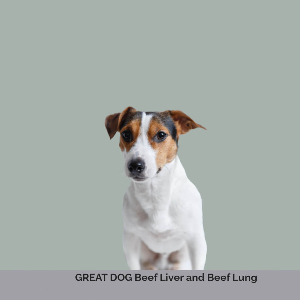 jack-russell-dog-image-with-text-beef-liver-beef-lung-treats-for-dogs-collection