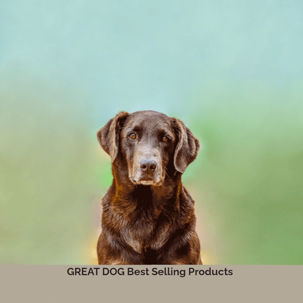 chocolate-labrador-retriever-image-with-text-best-selling-dog-treats-and-chews-collection