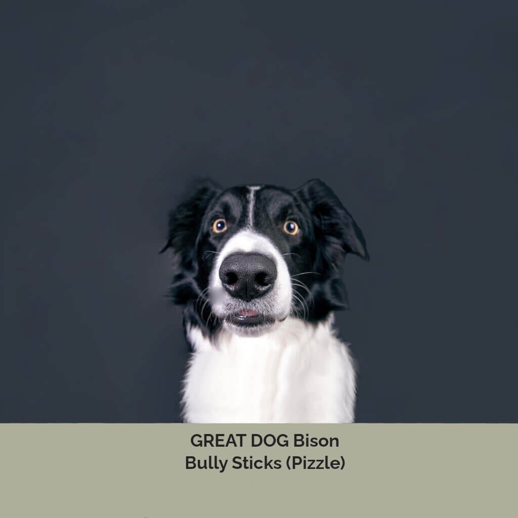 GREAT DOG Bison Bully Sticks (Bison Pizzle) for Dogs GREAT DOG CO.