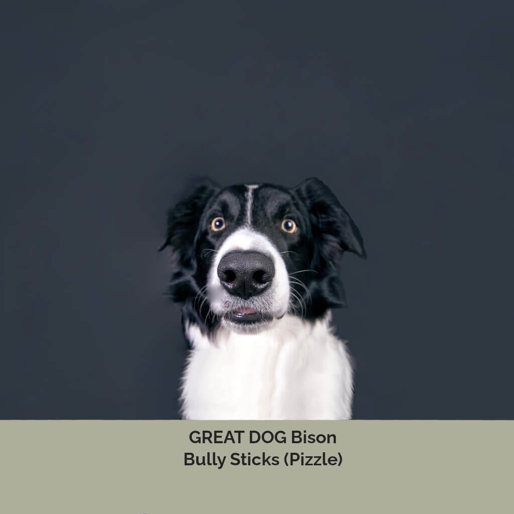 border-collie-dog-image-with-text-bison-bully-sticks-for-dogs-collection