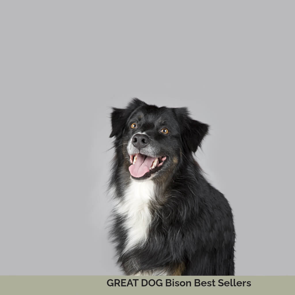 black-furry-dog-image-with-text-bison--dog-treat-best-sellers-collection