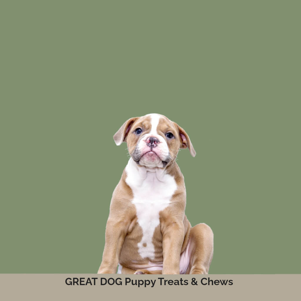 Puppy Treats & Chews