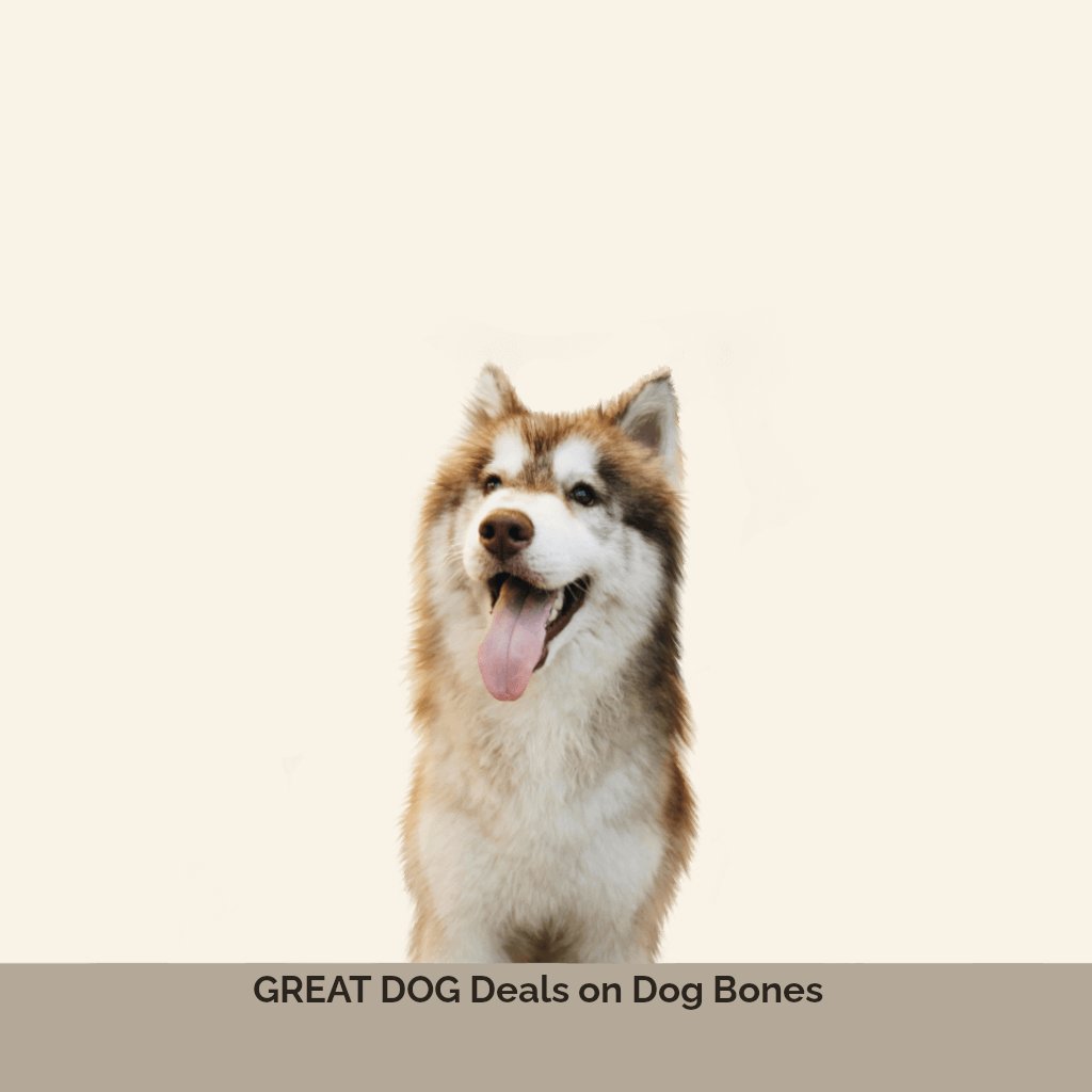 brown-husky-dog-image-with-text-deals-on-dog-bones