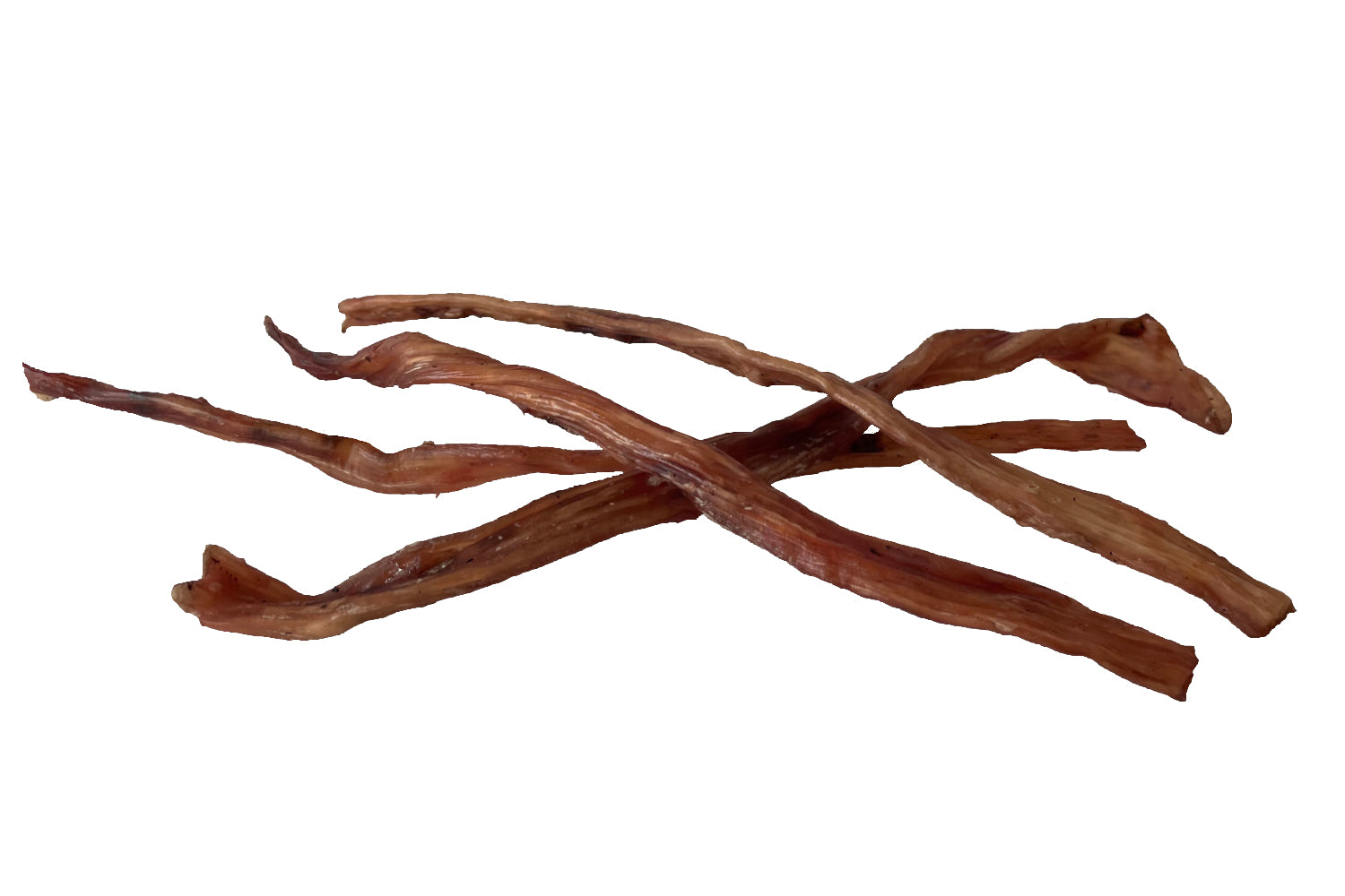Close-up of bison tendon chew by GREAT DOG - natural dog treat