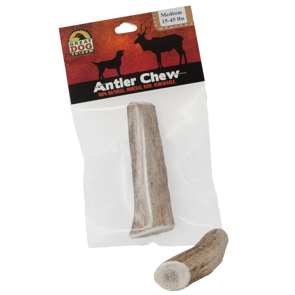 GREAT DOG Medium Elk Antler Chew - Best for Dogs 15-45 LBS - Sourced and Made in USA