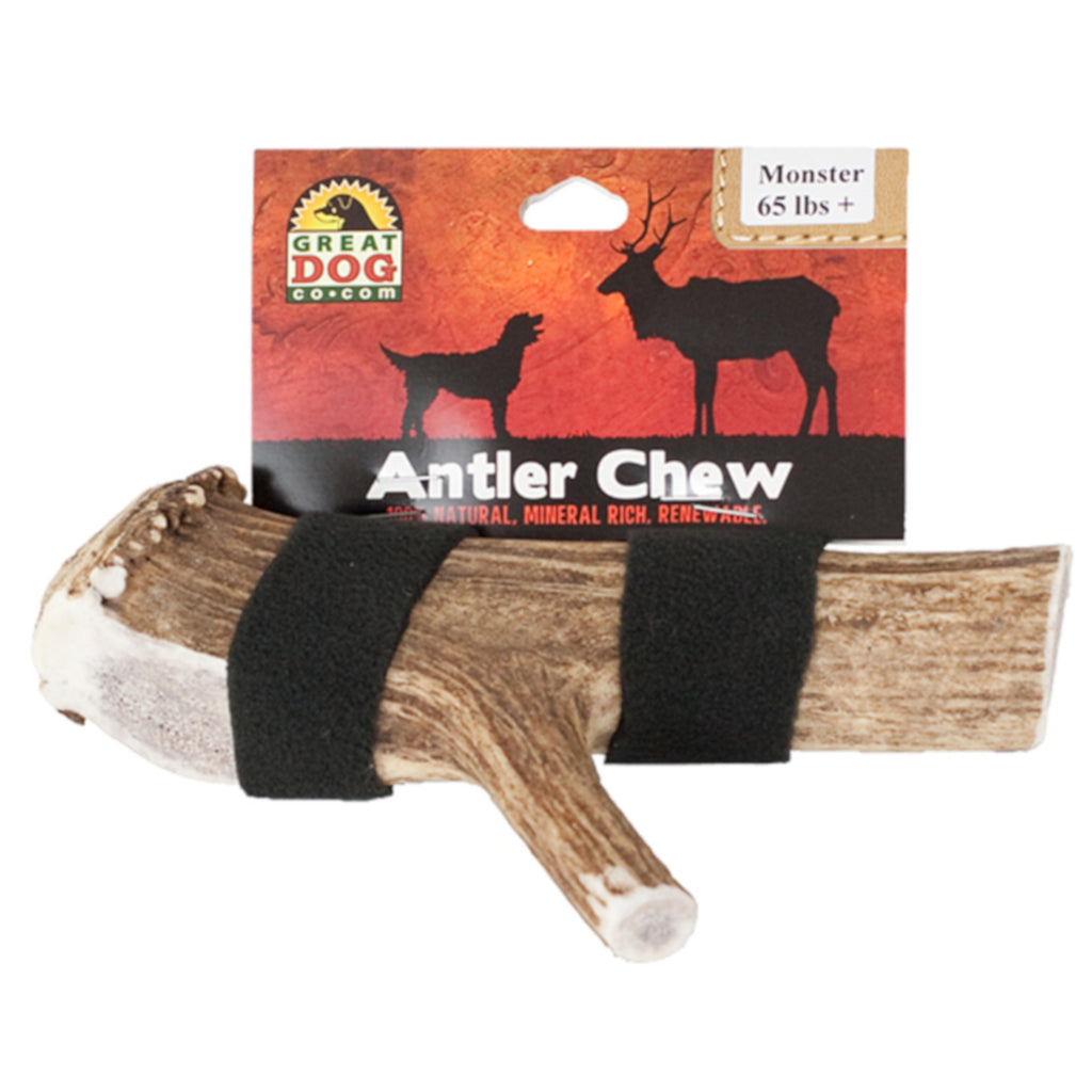 GREAT DOG Monster Elk Antler Chews - Best for Dogs 65+ LBS - Sourced and Made in USA