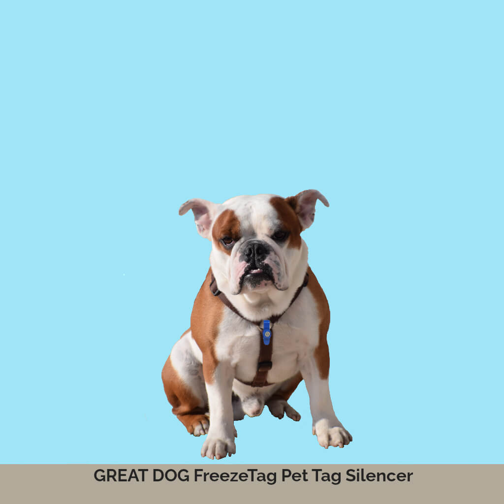bull-dog-image-with-text-frreezetag-pet-tag-silencer