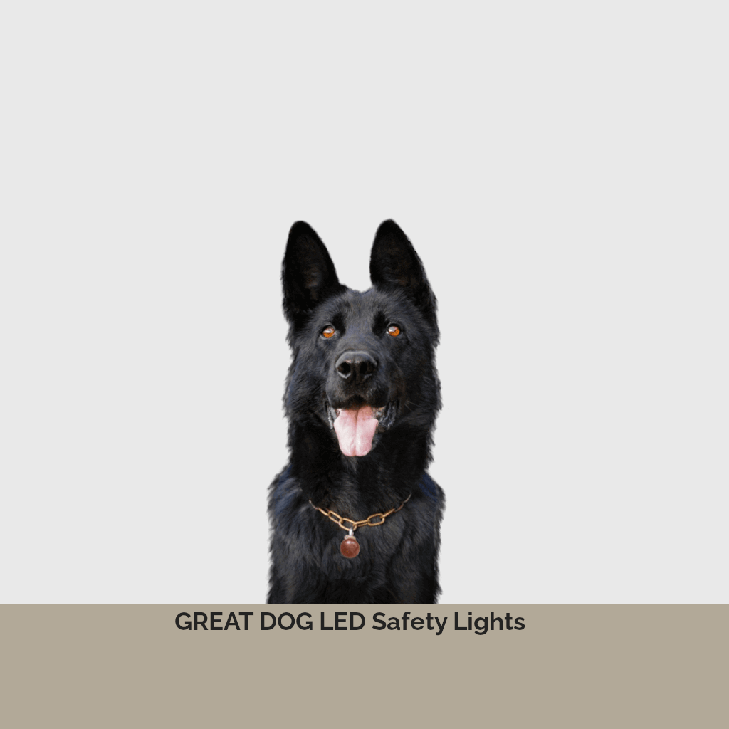 black-shepherd-image-with-text-led-safety-pendant-lights-for-dogs