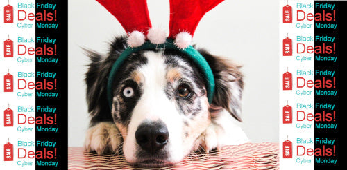 GREAT DOG 2025 Black Friday / Cyber Monday Sale