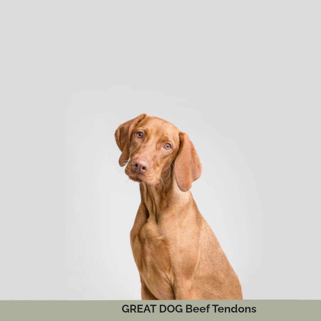 vizsla-dog-image-with-text-beef-tendon-chews-collection