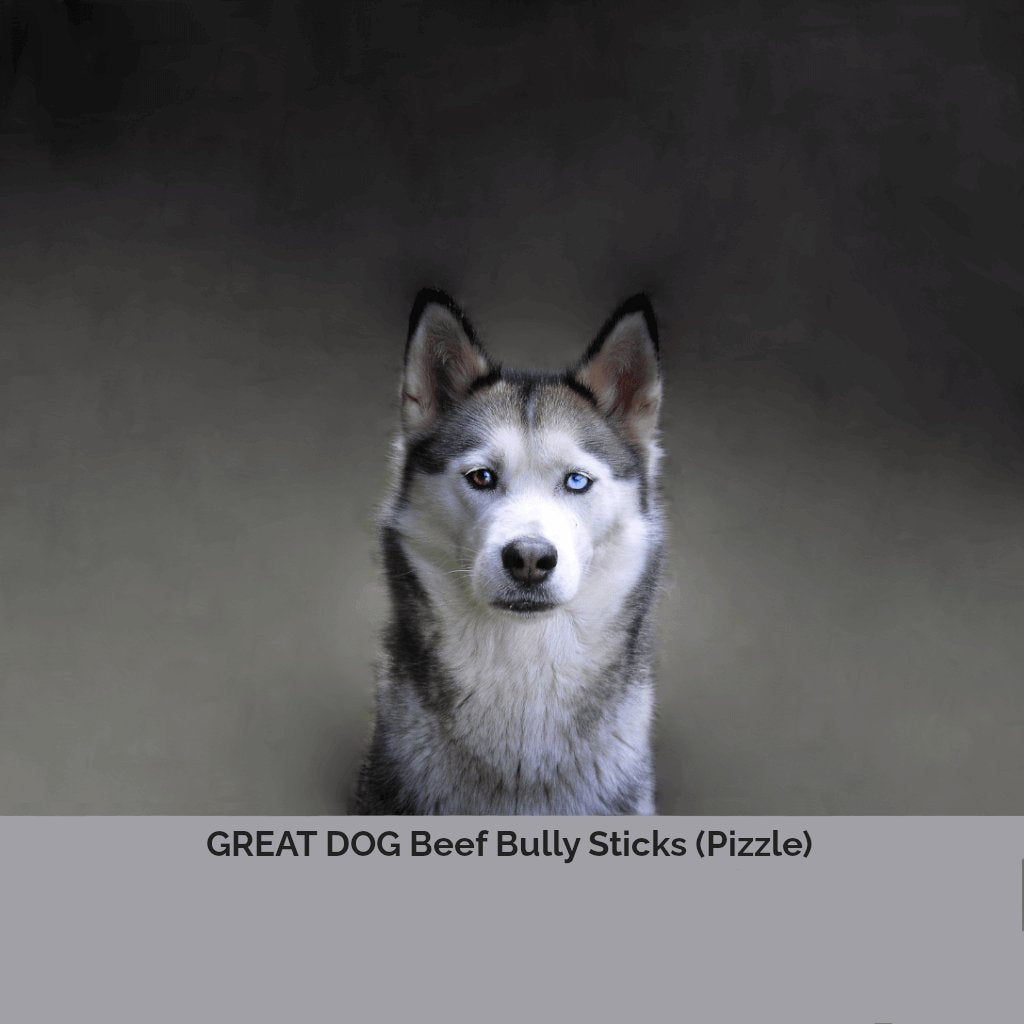 husky-dog-image-with-text-beef-bully-sticks-beef-pizzle-for-dogs