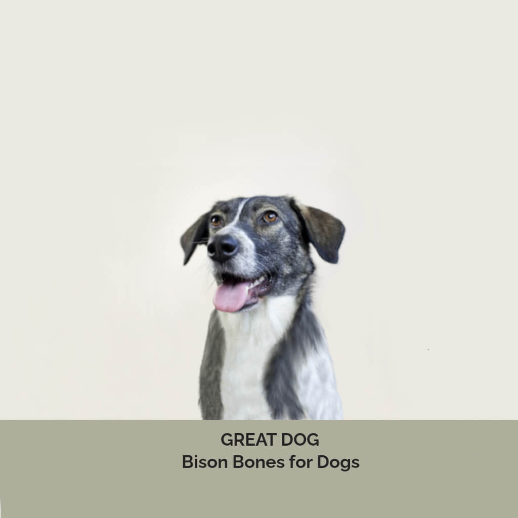 mutt-dog-image-with-text-bison-bones-for-dogs-collection