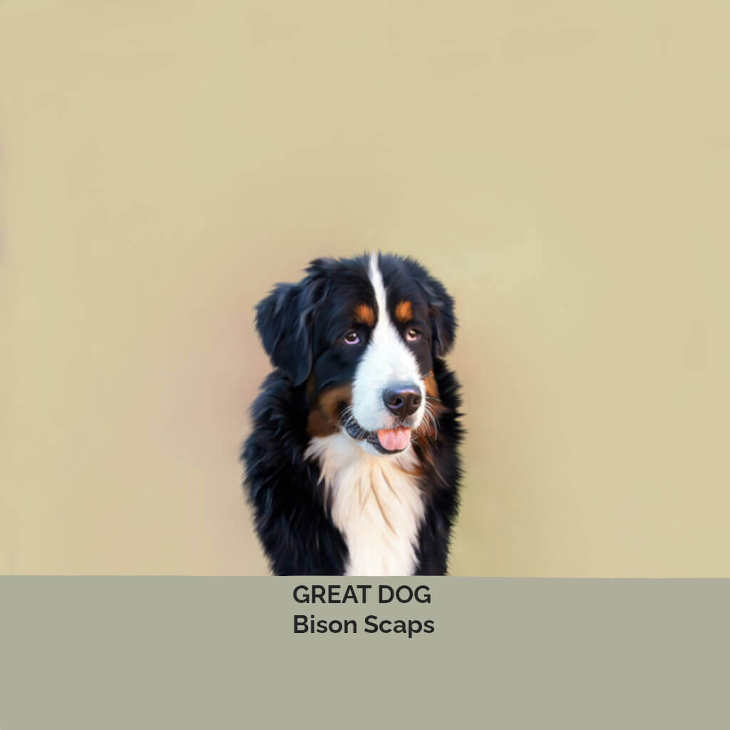 bernese-mountain-dog-image-with-text bison-scaps-for-dogs-collection