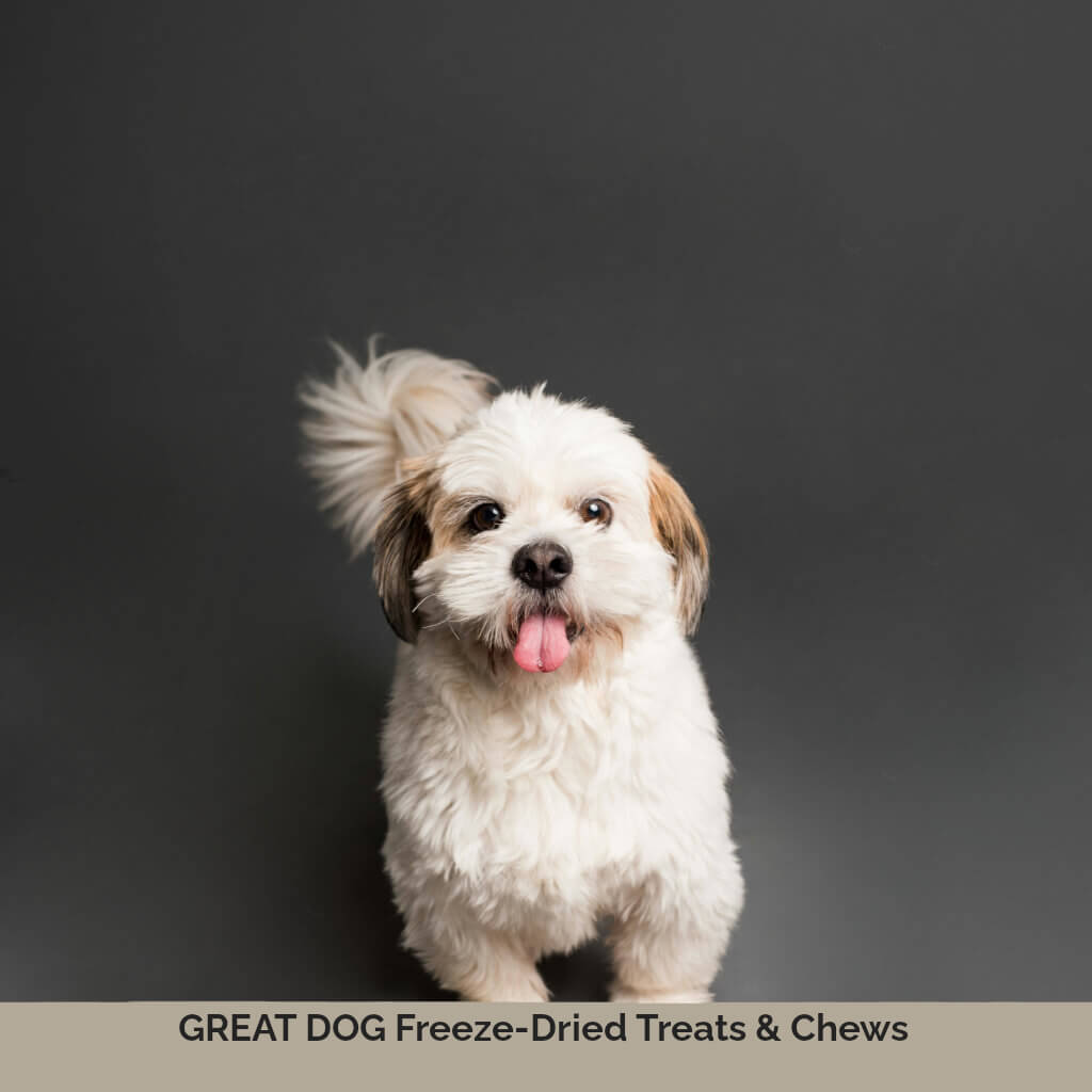 shih-poo-dog-image-with-text-great-dog-freeze-dried-treats-and-chews