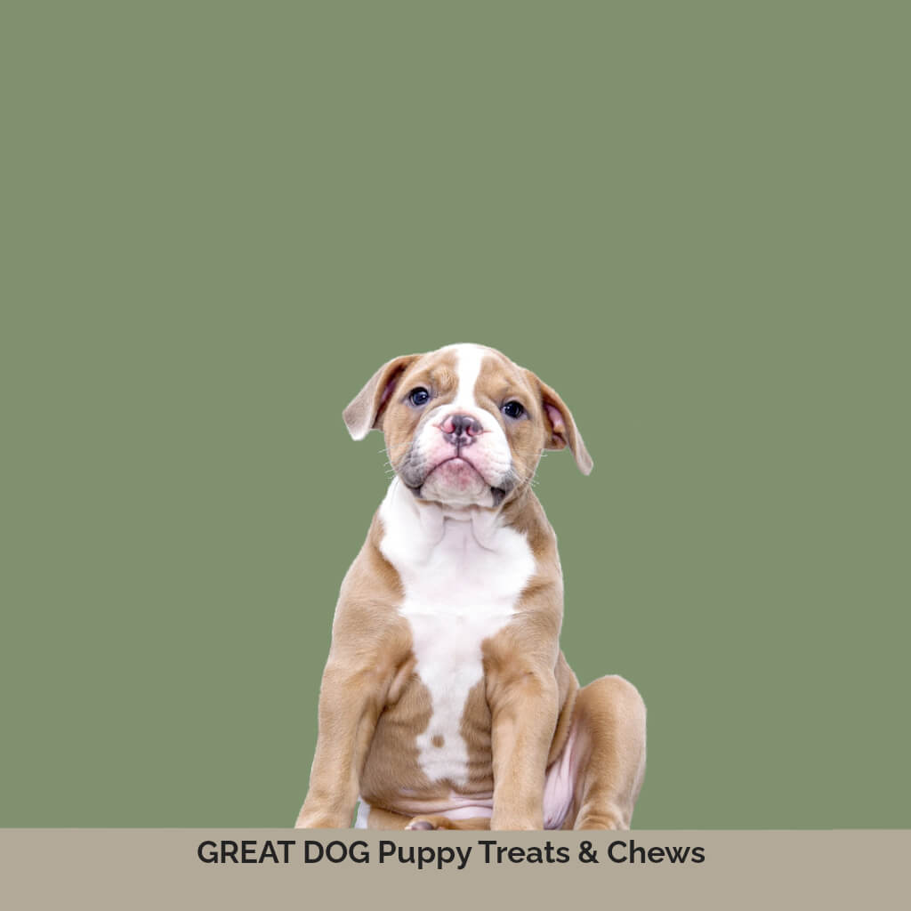 pitbull-puppy-image-with-text-great-dog-puppy-treats-and-chews