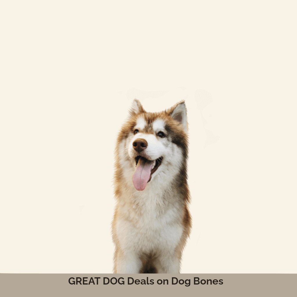 brown-husky-dog-image-with-text-deals-on-dog-bones