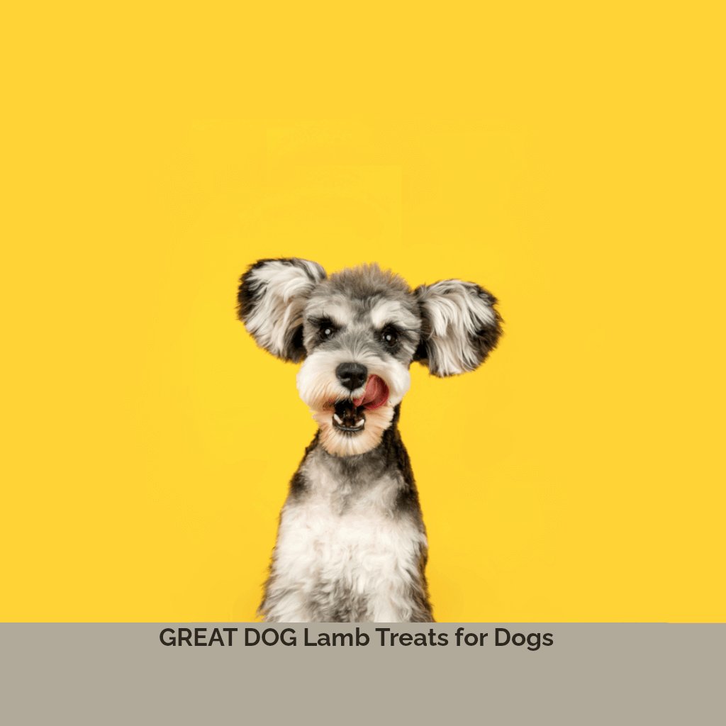 schnauzer-dog-image-with-text-lamb-lung-treats-for-dogs