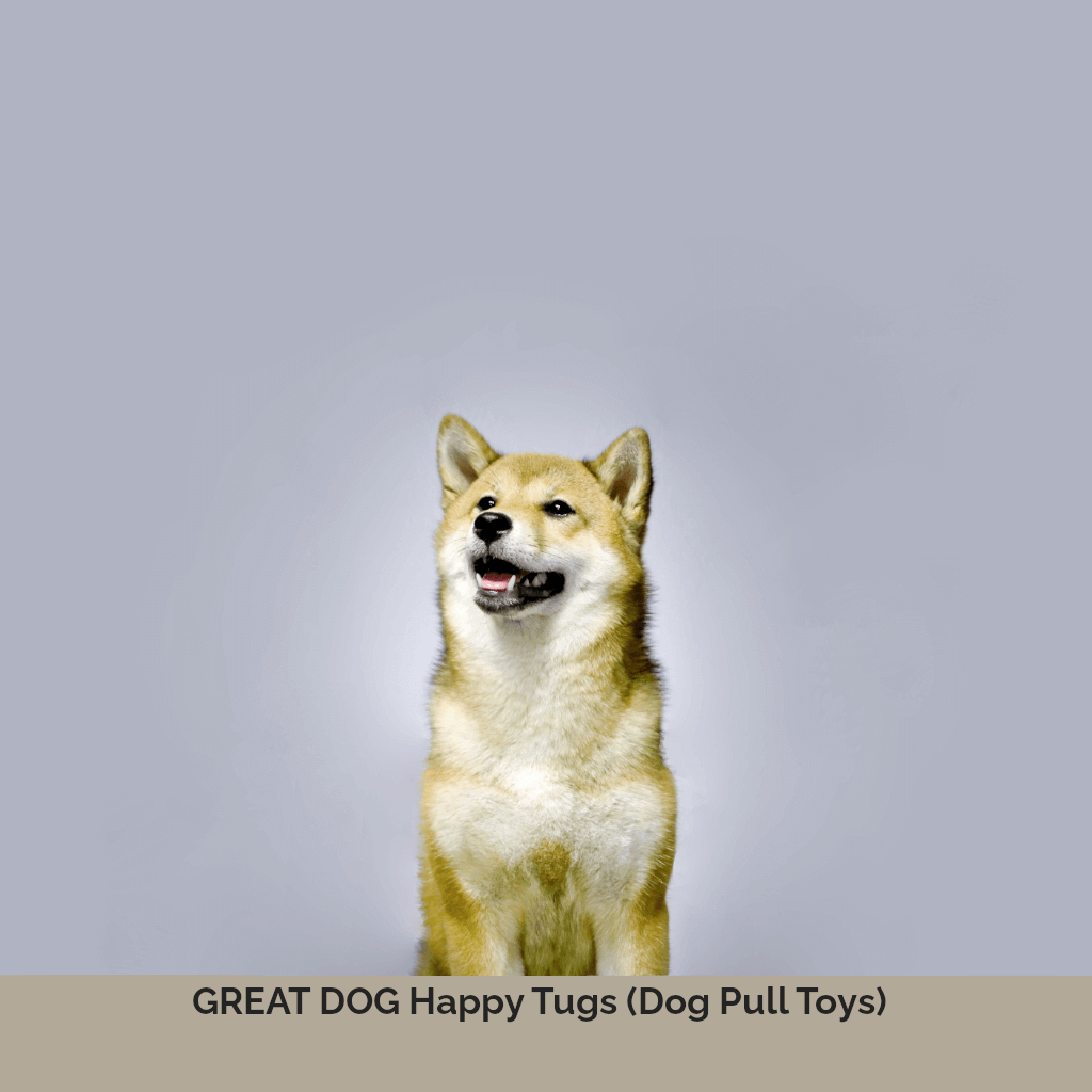 shiba-inu-dog-image-with-text-happy-tugs-dog-pull-toys