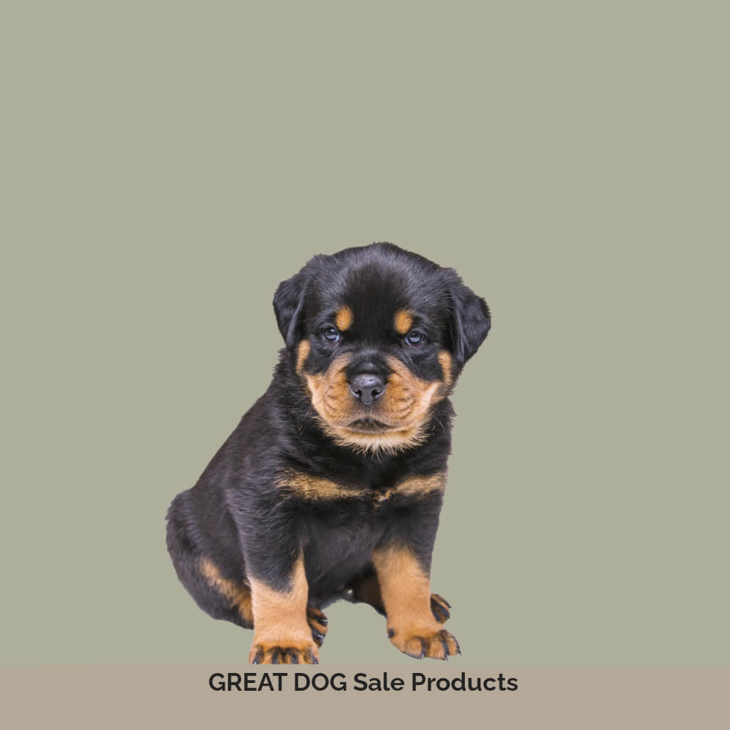 rottweiler-puppy-image-with-text-great-dog-products-on-sale