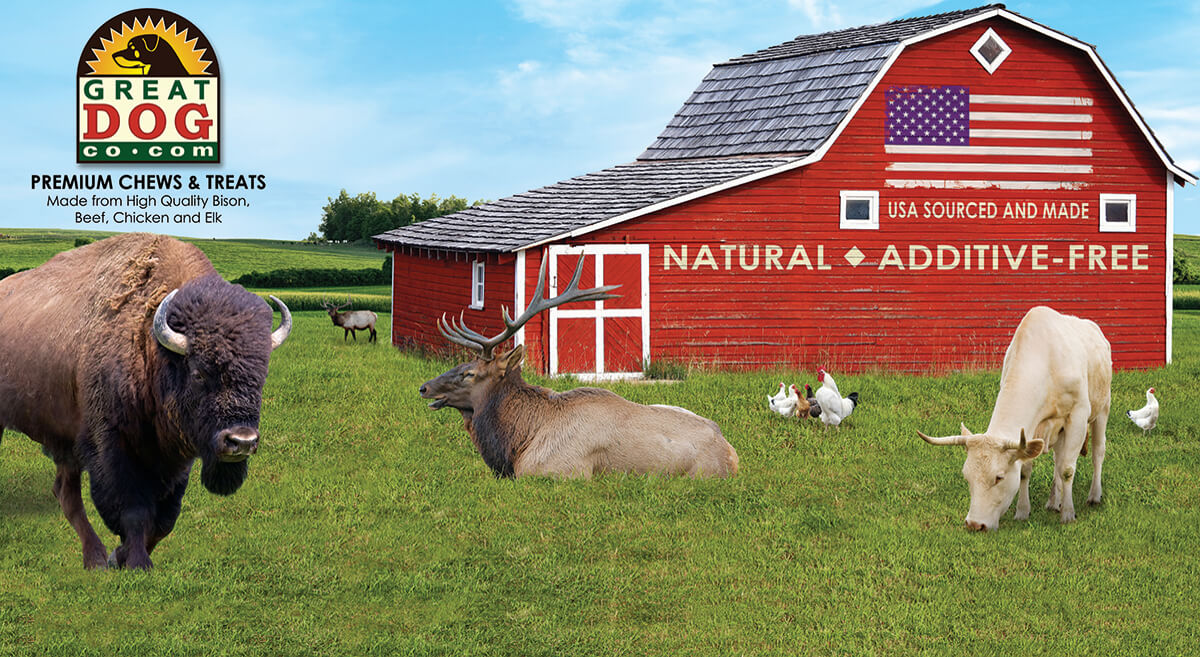 great-dog-company-branded-farm-scene-with-logo