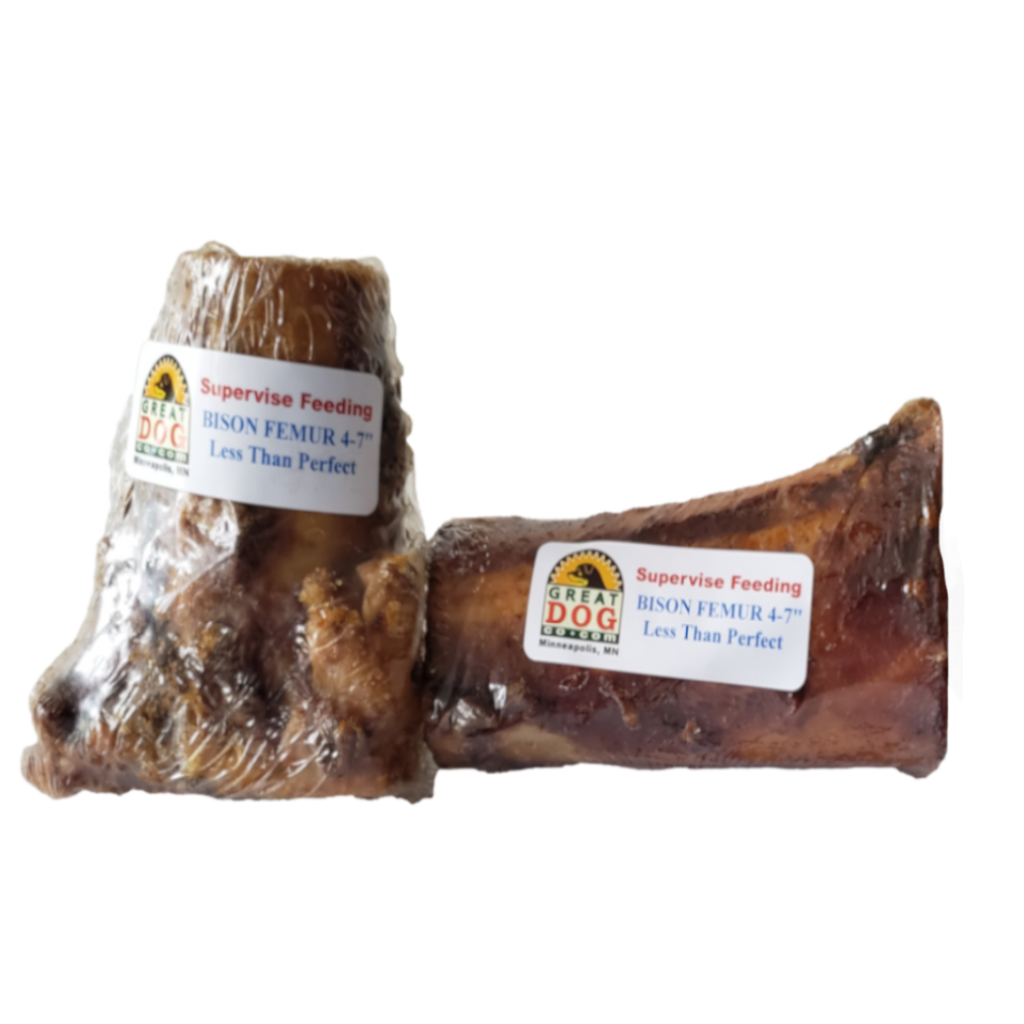 GREAT DOG Bison Femur Bone - Less Than Perfect - Sourced and Made in USA