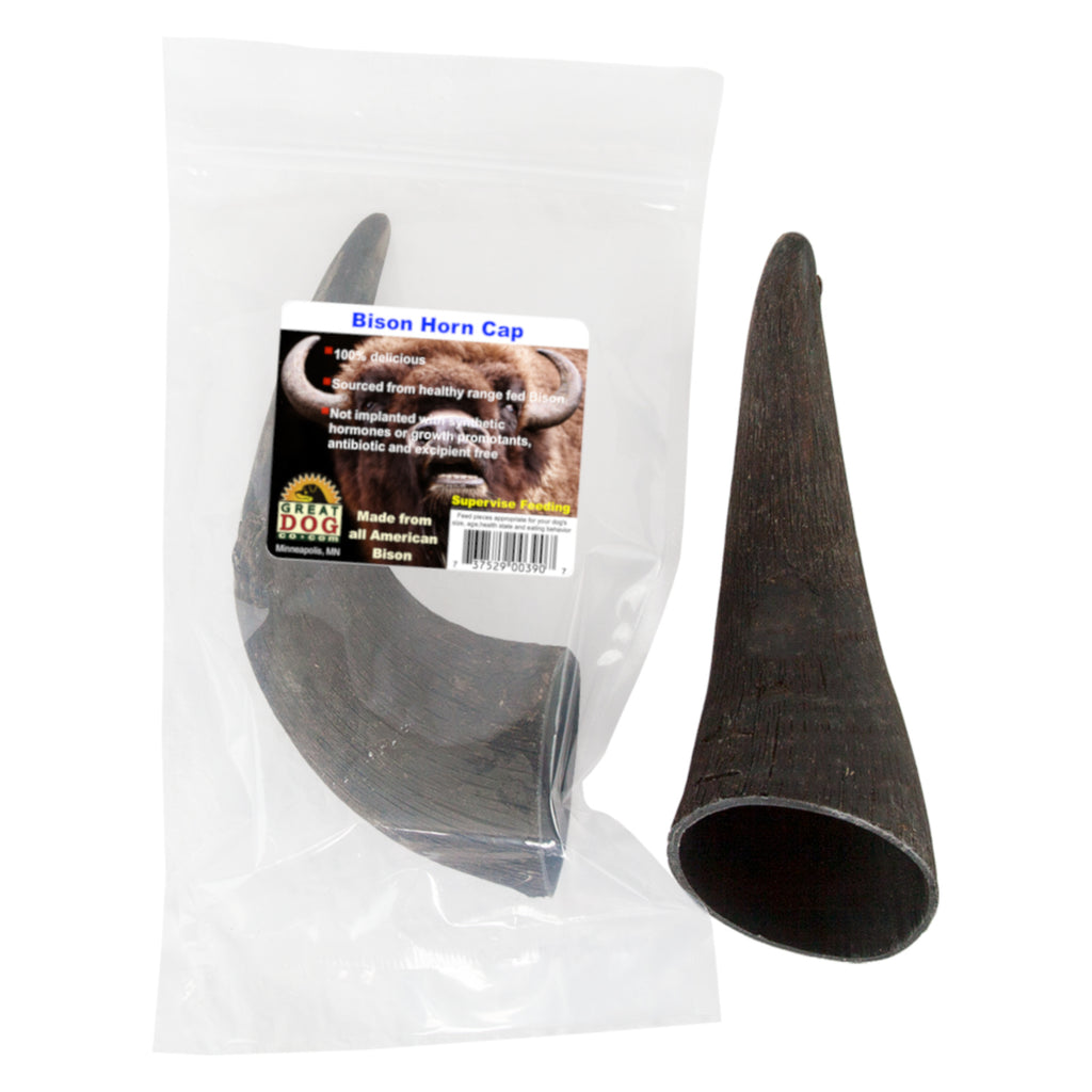 GREAT DOG Bison Horn Cap - Sourced and Made in USA