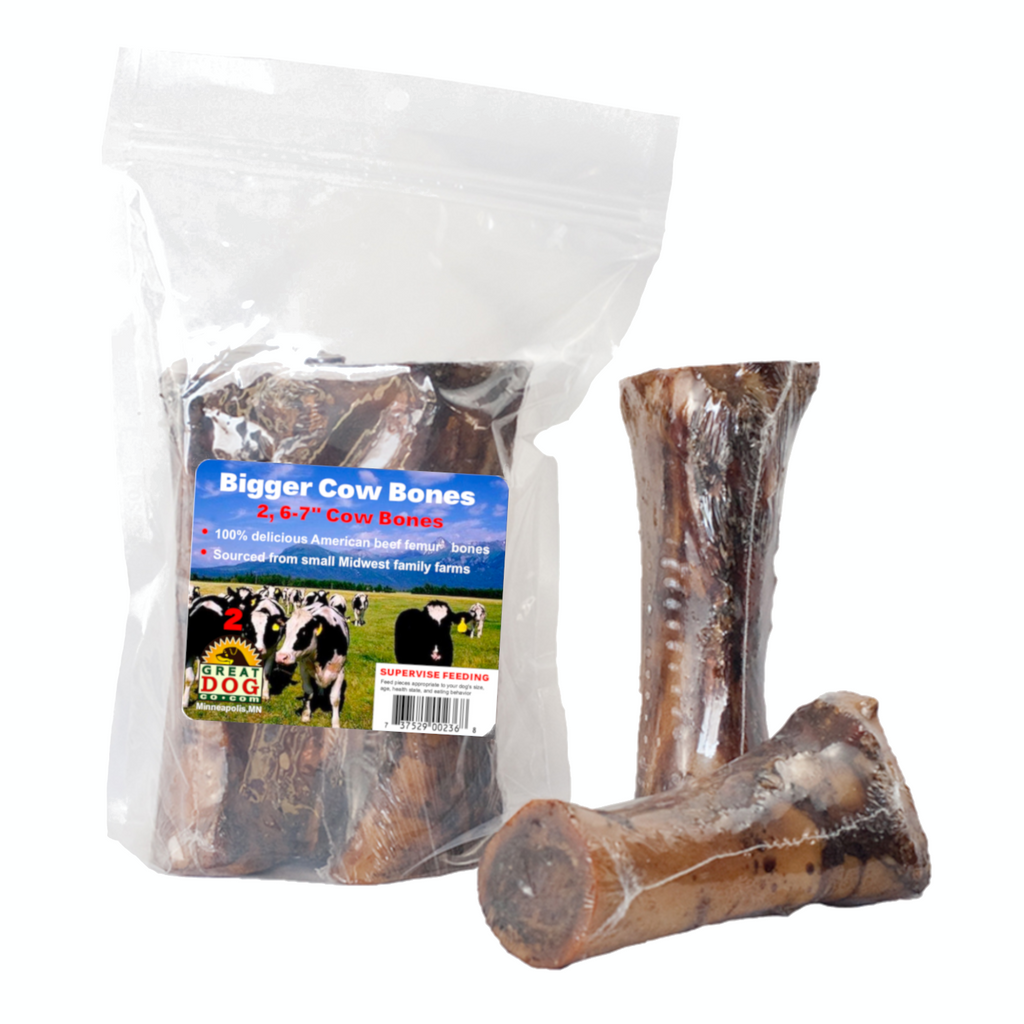 GREAT DOG Bigger Beef Bones - 2, 6-7 Inch Bones - Sourced and Made in USA