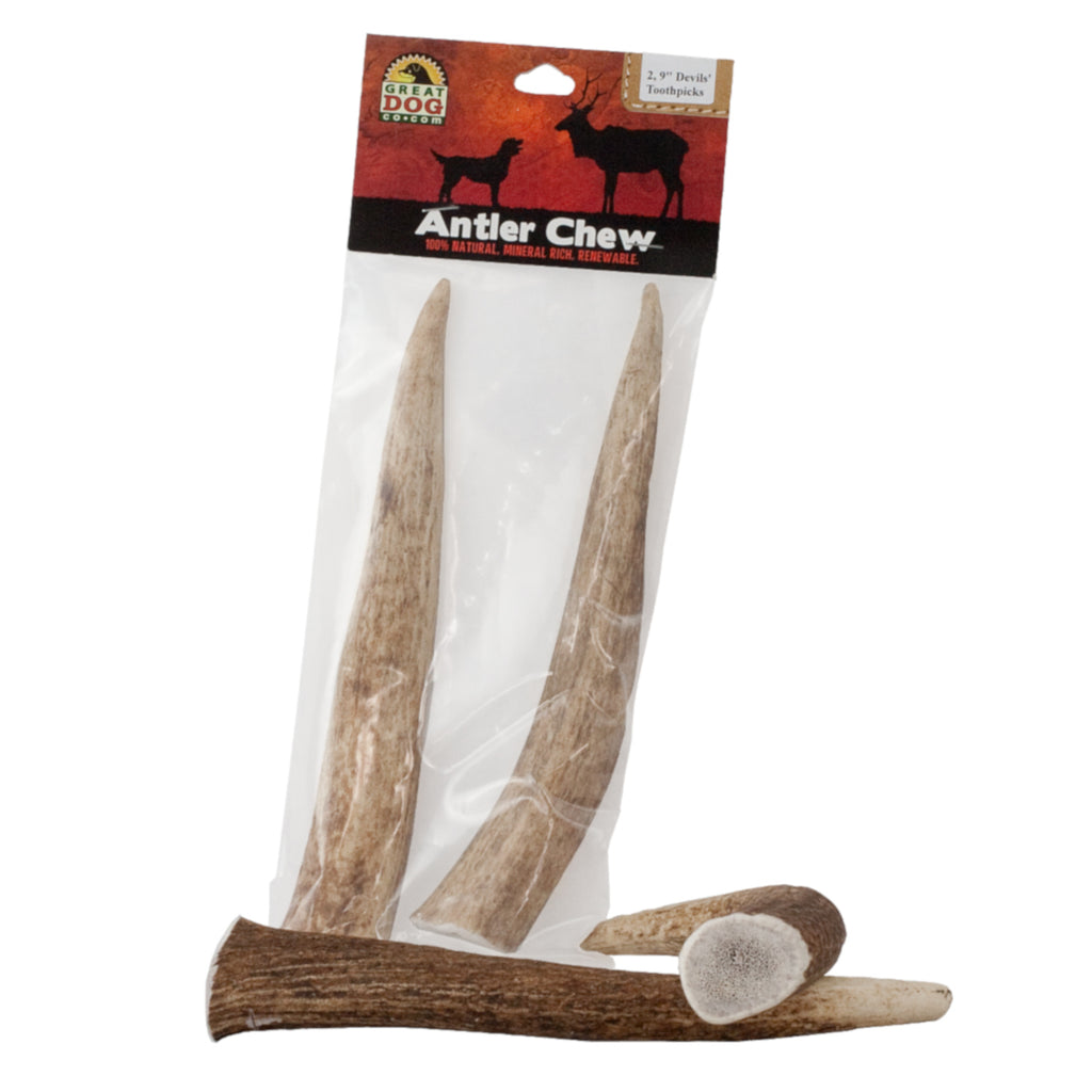 GREAT DOG Devils' Toothpicks - 2, 9 Inch Elk Antler Chews - Sourced and Made in USA