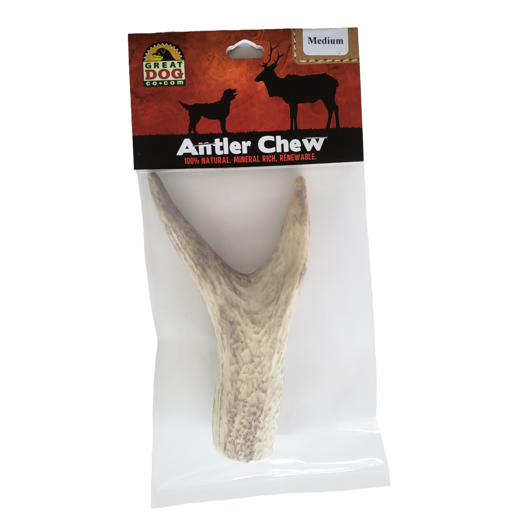 GREAT DOG Medium Red Deer Antler Chew - Best for Dogs 30-65 LBS - Sourced and Made in USA